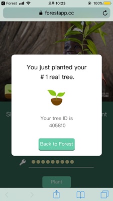 사진 : 포레스트 애플리케이션의 '진짜 나무' 기부