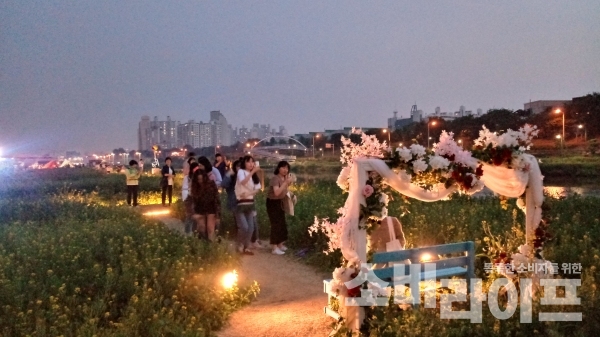 (사진:  장미를 배경으로 사진을 찍고 있는 시민들/서울시 종랑구)