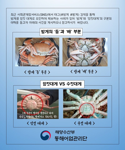 출처 : 해양수산부 동해 어업관리단