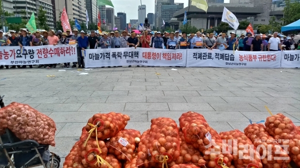 (사진:  참여 농민들이 직접 가지고 온 농산물이 대회장에 놓여있다/서울시 종로구 광화문광장)