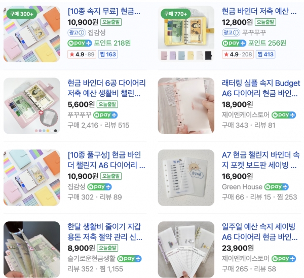 포털사이트 '현금바인더' 검색 결과(출처=네이버 쇼핑)