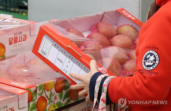 마트에서 과일을 고르는 소비자(출처:연합뉴스)